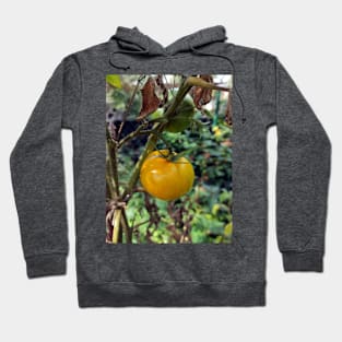 Yellow tomato Hoodie